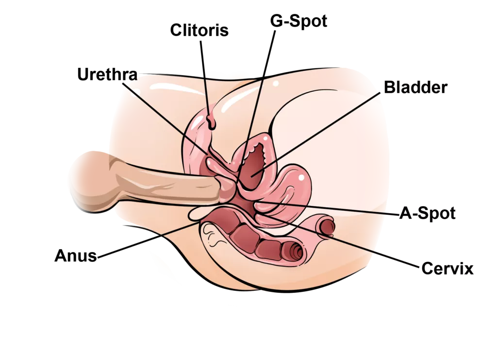 Squirt techniques online course
